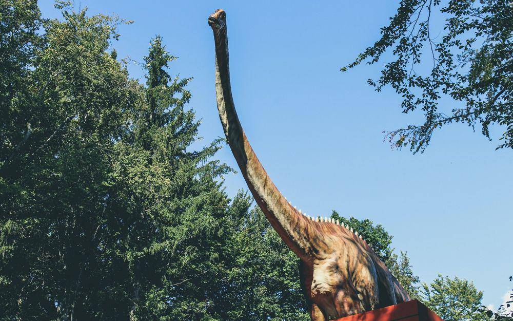 ilustrasi dinosaurus (pexels.com/Creative Vix)