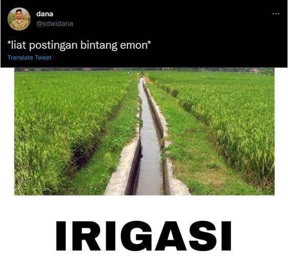 komentar patah hati Bintang Emon lamaran (twitter.com/sdwidana)