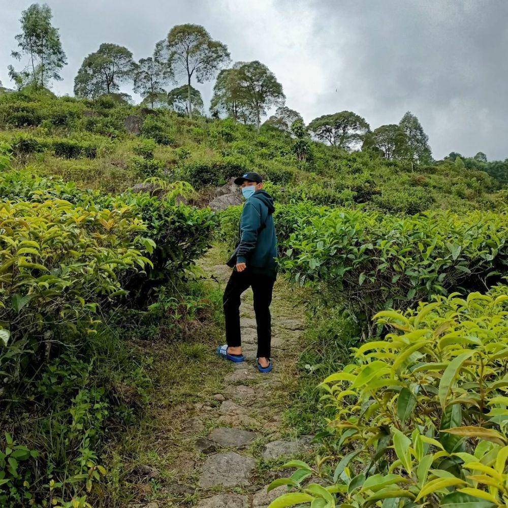 Kebun Teh Jamus (instagram.com/amal_azzaky)
