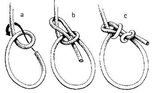 ilustrasi simpul bowline (leisurepro.com)