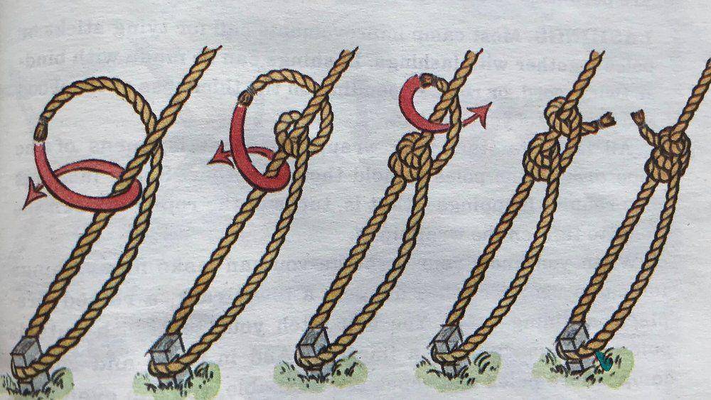 Taut-Line Hitch (scouterlife.com)