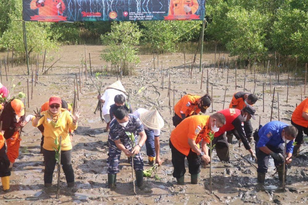 Proses penanaman bibit Mangrove Basarnas Sulsel, di Desa Wisata Mangrove Untia, Makassar. / Dok. Basarnas Sulsel