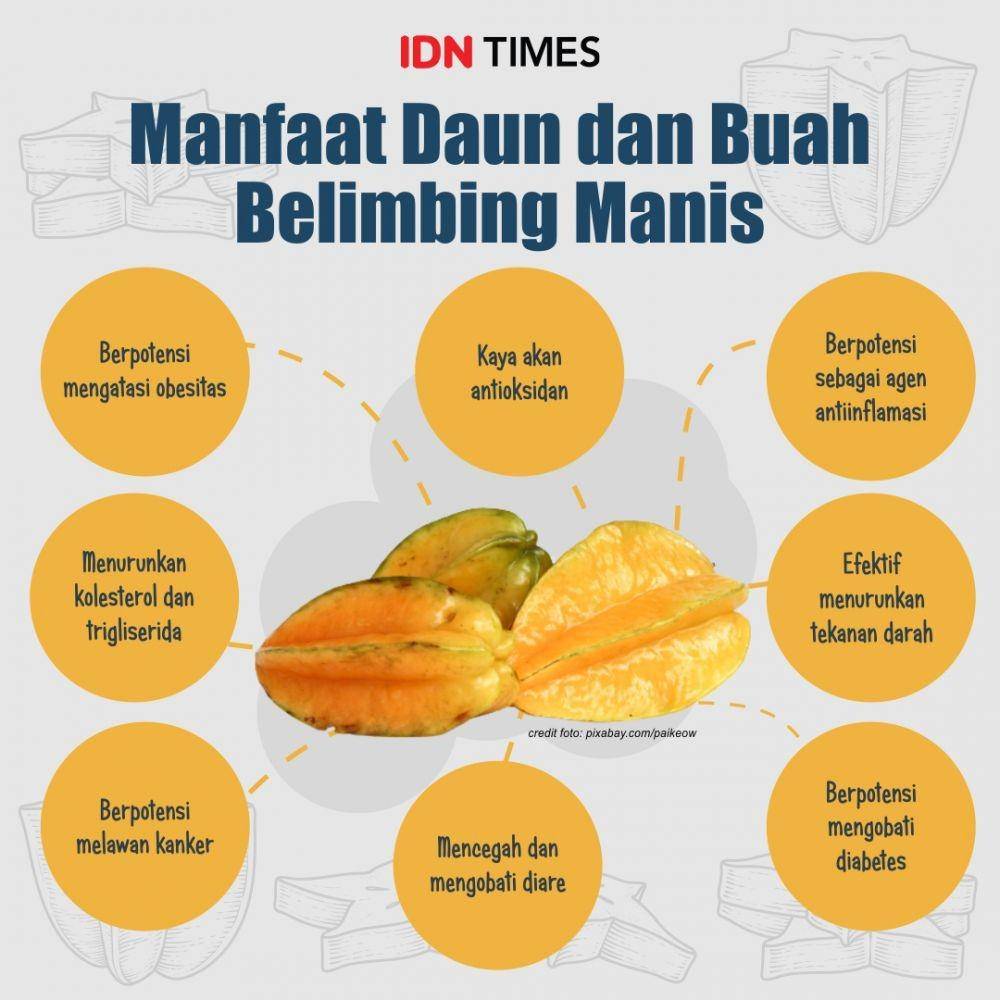 infografis manfaat belimbing manis (IDN Times/Mardya Shakti)