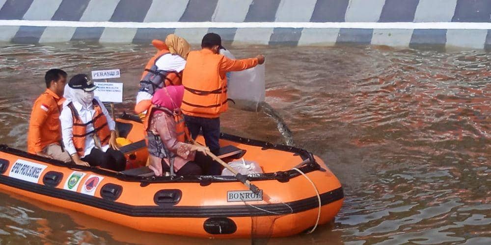10.000 Benih Ikan Endemik Dilepasliarkan di Sungai Sekanak Lambidaro