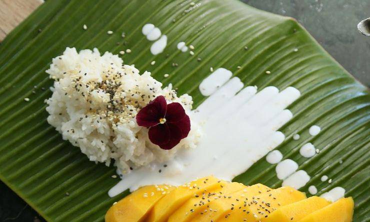 ilustrasi ketan susu durian (pixabay.com/Huahom)