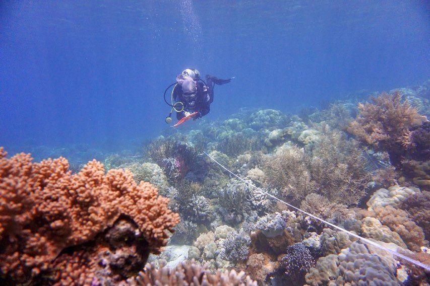 potret Taman Nasional Taka Bonerate (instagram.com/rezki_mutmainnah)