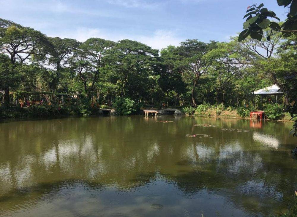 Kebun Bibit Wonorejo (instagram.com/bagussuminar)
