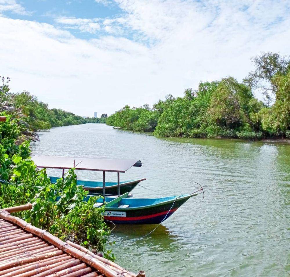 Hutan Mangrove Gunung Anyar (instagram.com/alfiaraw_)