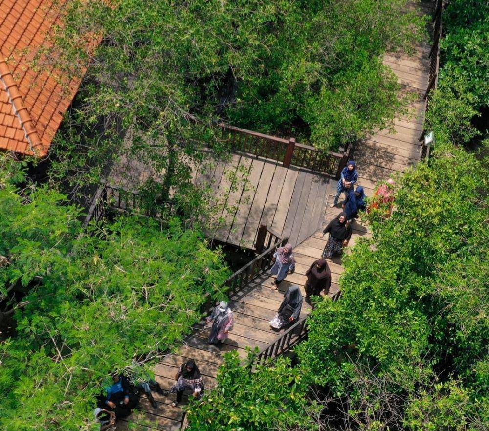Hutan Mangrove Wonorejo (instagram.com/yudi_trist)