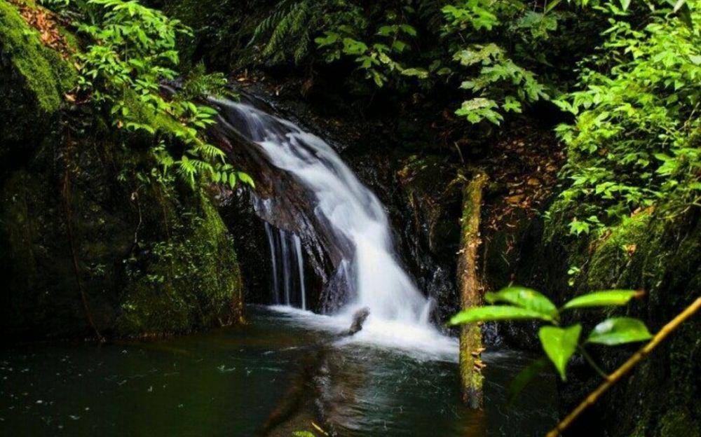 Air Terjun Sarasah Batimpo (instagram.com/wacana.project.id)