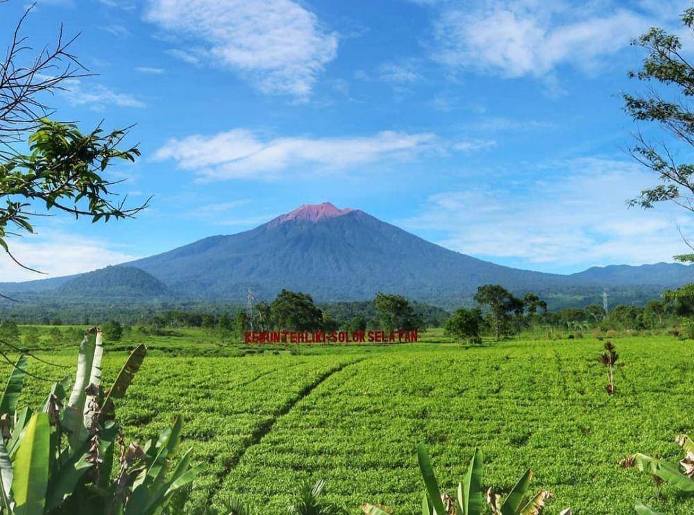 Kebun Teh Mitra Kerinci (instagram.com/urang_solokselatan)