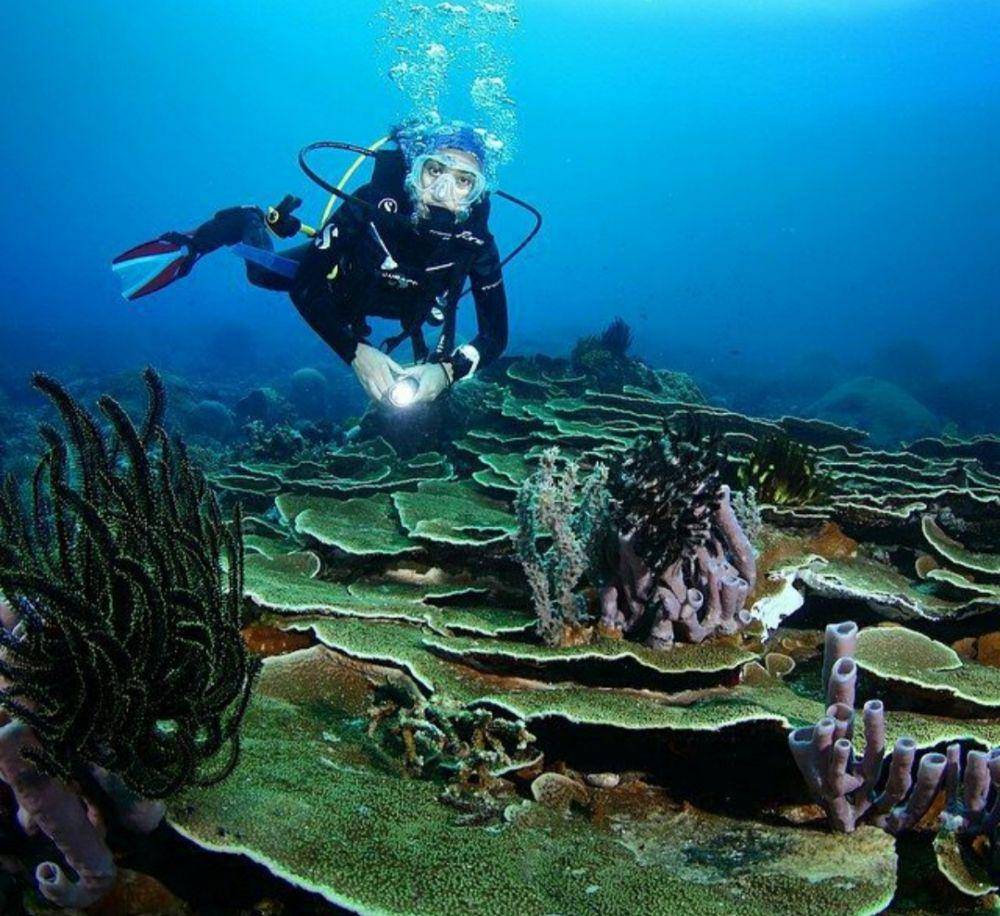 Pulau Failonga (instagram.com/exploremalut)