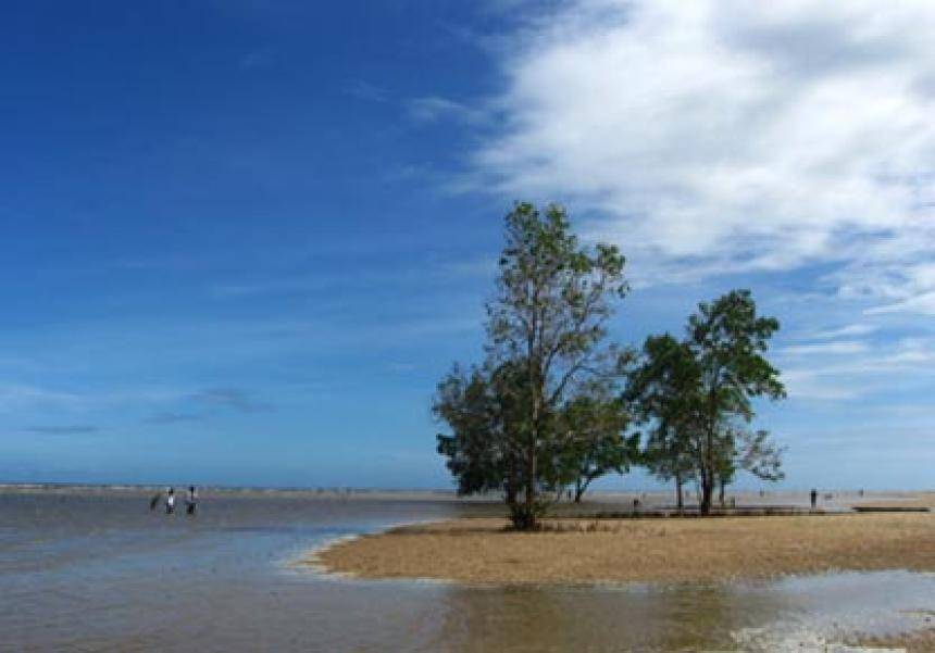 Pantai Tanah Merah Tanjung Harapan di Kalimantan Timur (direktoripariwisata.id)