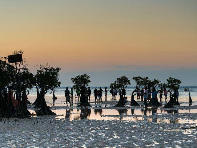 Pohon bakau dengan latar belakang matahari terbenam (instagram.com/sutirta budiman)