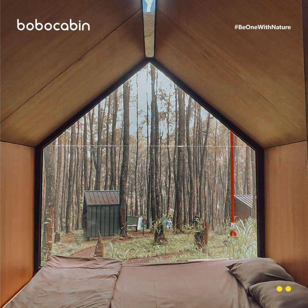 Pemandangan Bobocabin yang dioperasikan Bobobox di daerah Cikole, Kecamatan Lembang, Jawa Barat. (Instagram.com/boboboxadventure)
