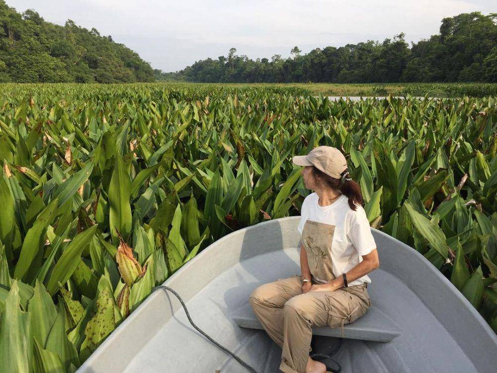 Wisatawan menyusuri sungai Kinabatangan. (instagram.com/elmanantial21)