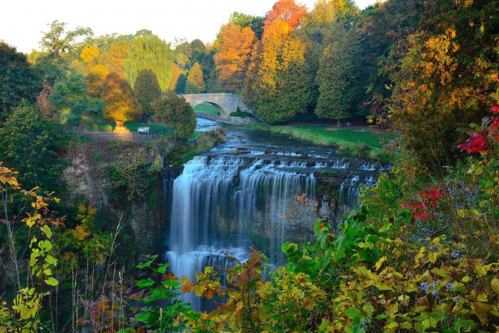 10 Potret Air Terjun di Kota Hamilton, Cocok Buat Refreshing