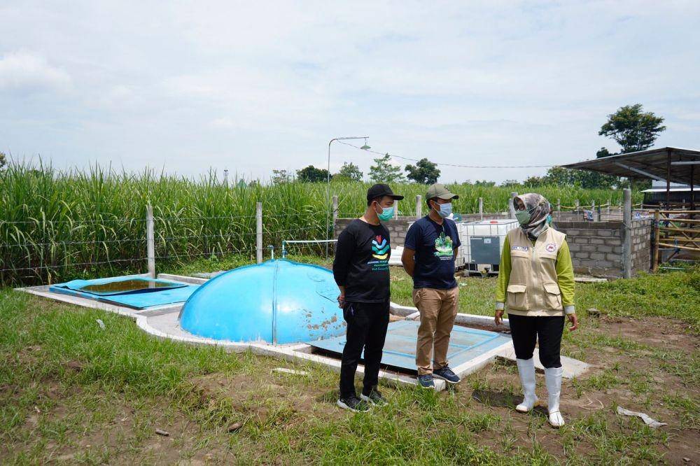 Program pengembangan desa korporasi sapi di Kediri. (Dok. Pemkab Kediri)