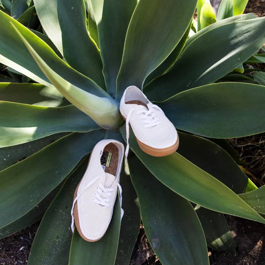 Vans Circle Vee™ Natural/Gum (vans.com)