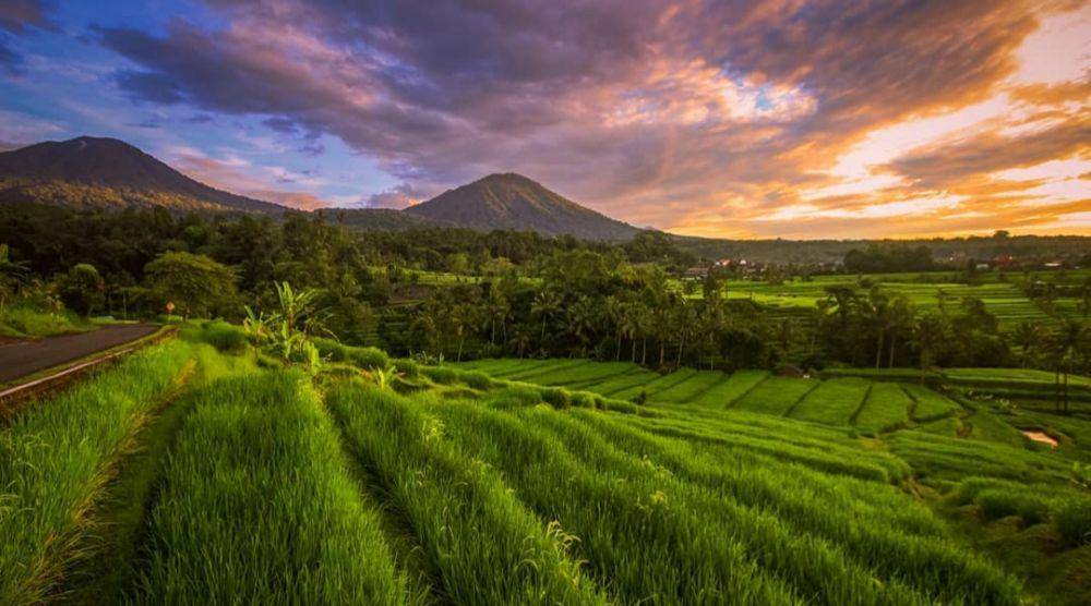 Sawah Terasering Jatiluwih (instagram.com/dewaa.krisna)