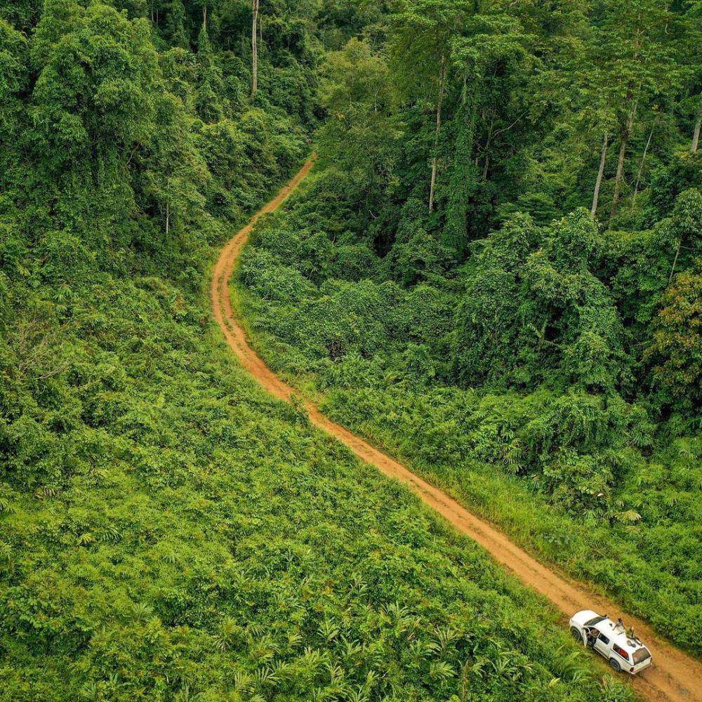 para wisatawan menyusuri Tabin Wildlife Reserve menggunakan mobil (instagram.com/thegeorgevlad)