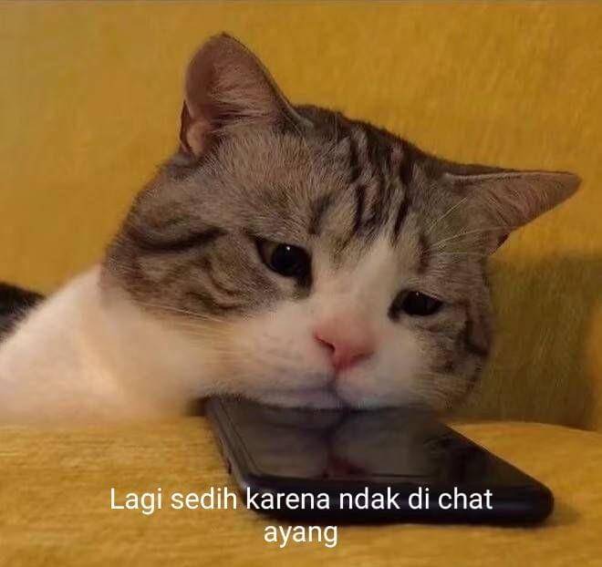 twitter.com/makhlukjaim