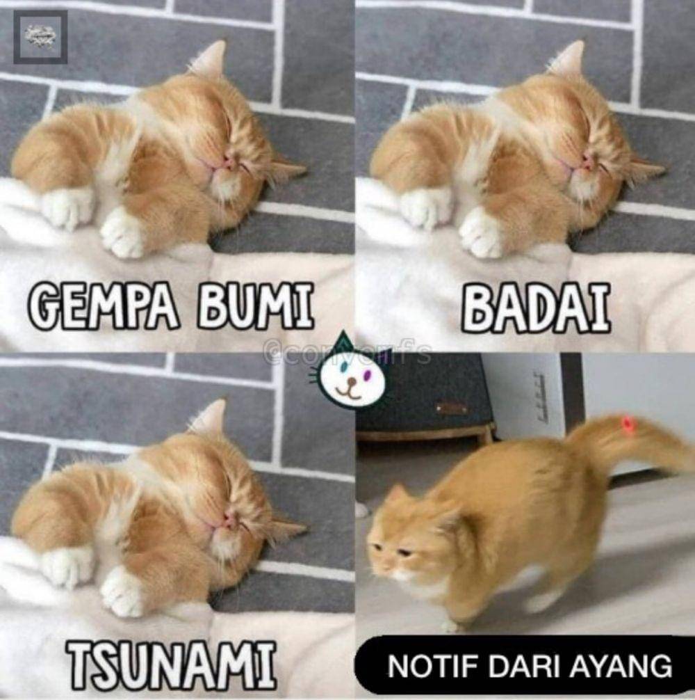 twitter.com/panggilajaikka