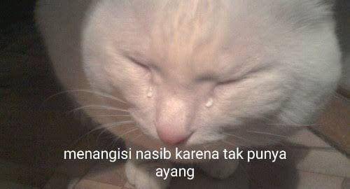 Twitter.com/Otakfresh1