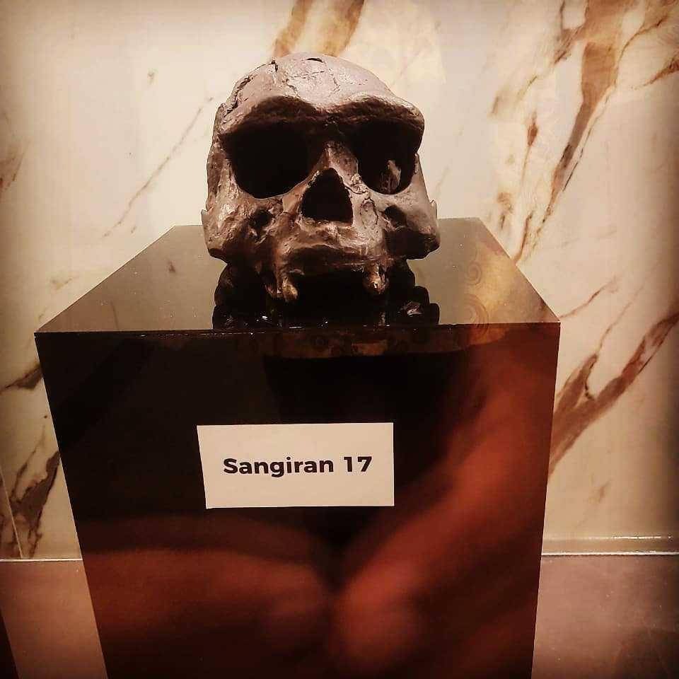 fosil manusia purba (instagram.com/museummanusiapurba)