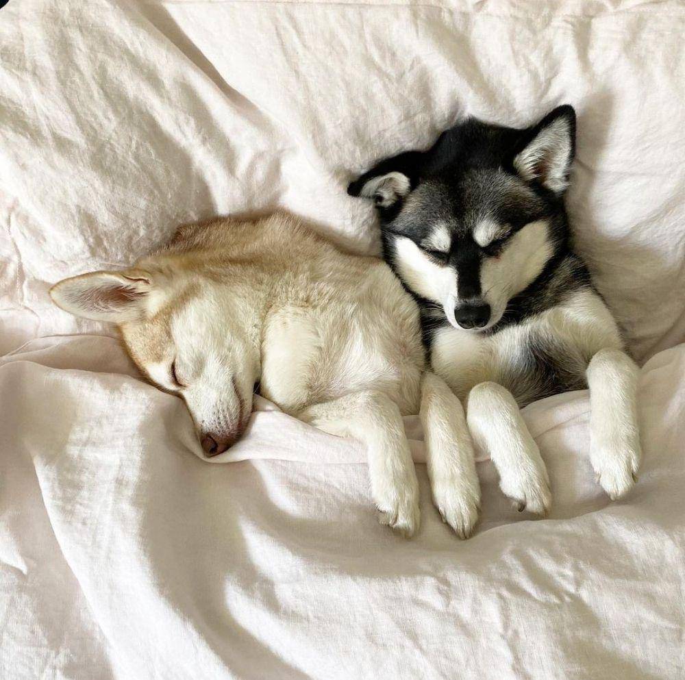 instagram.com/lifewithkleekai