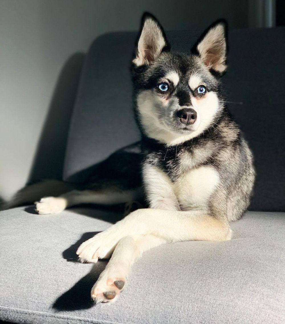 instagram.com/lifewithkleekai