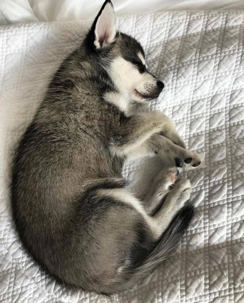 instagram.com/lifewithkleekai