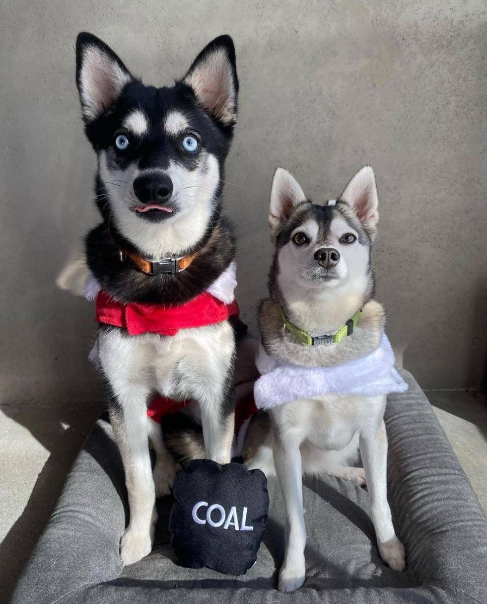 instagram.com/glam_and_growl