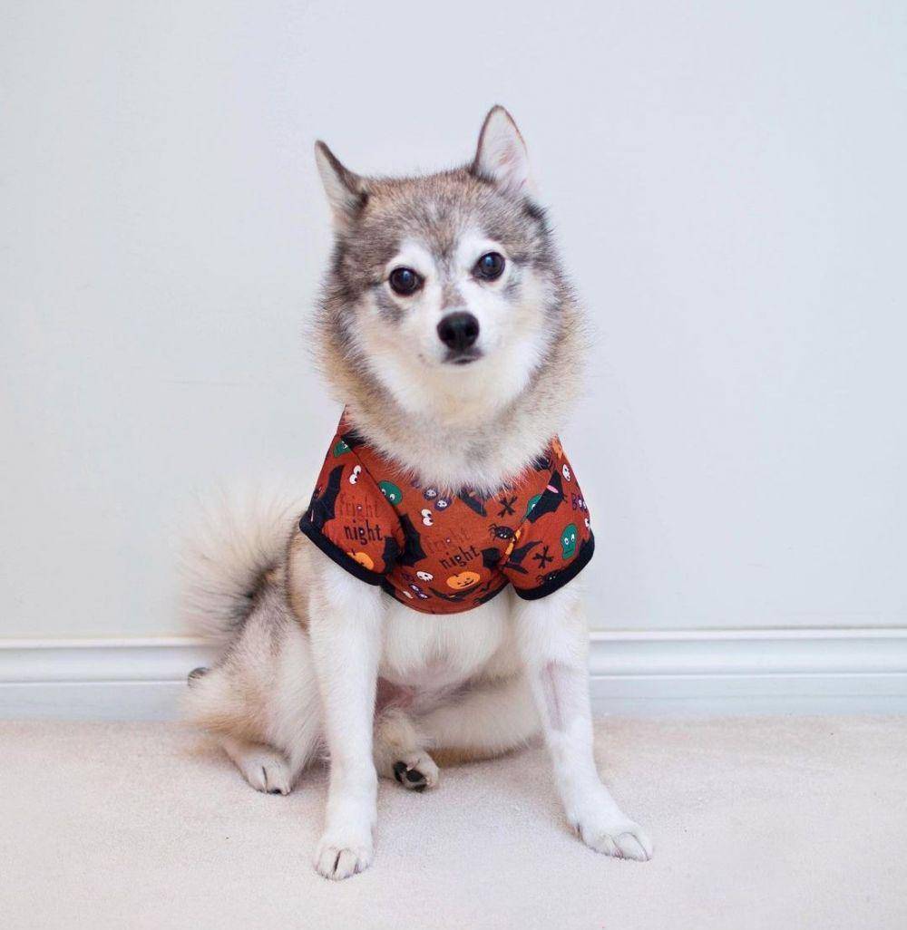 instagram.com/kobikleekai