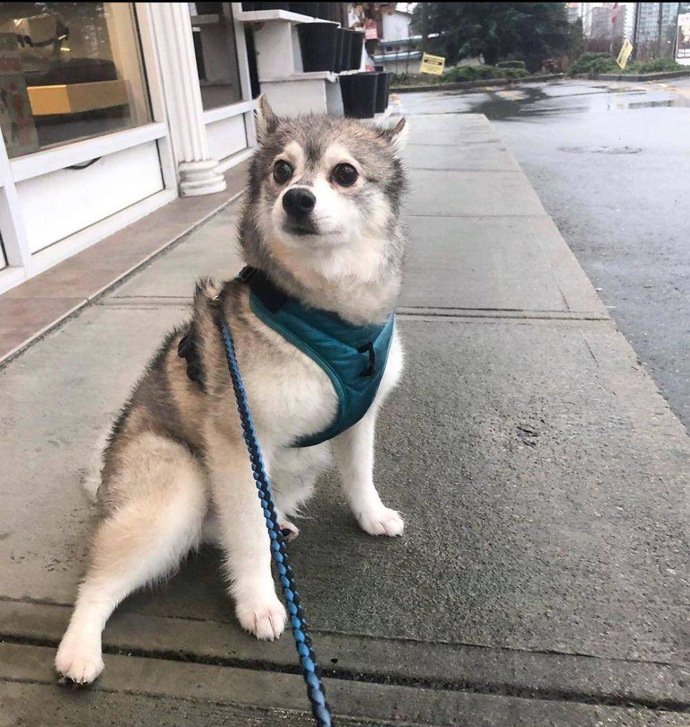 instagram.com/kobikleekai