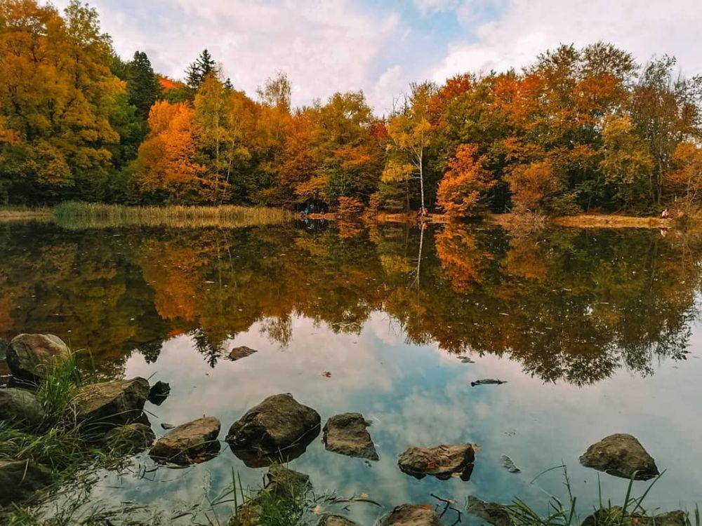 Boyana Lake (instagram.com/travel_with_annie_photography)