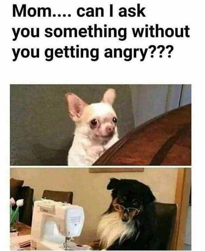 meme tentang kehidupan (instagram.com/isyoufunny)