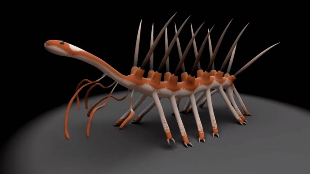 ilustrasi rekontruksi Hallucigenia (youtube.com/Cambridge University/Lars Fields)