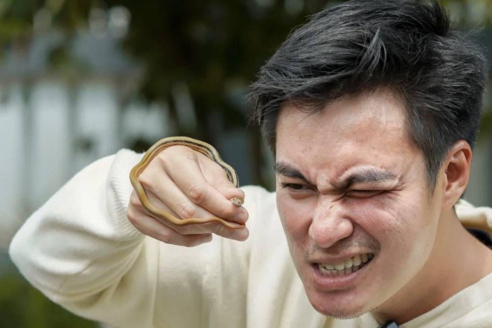 Baim Wong menemukan ular di rumahnya (instagram.com/baimwong)