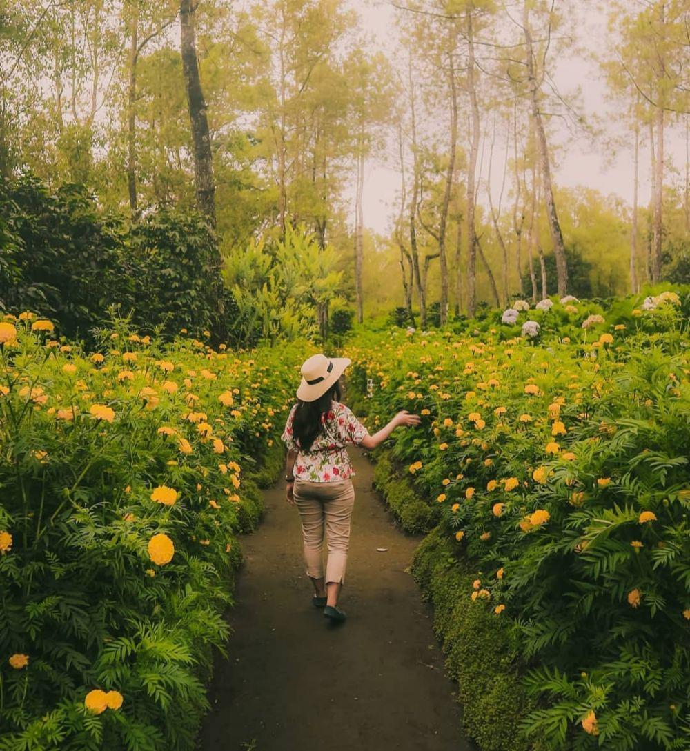 Coban Talun (instagram.com/yoiki_malang)