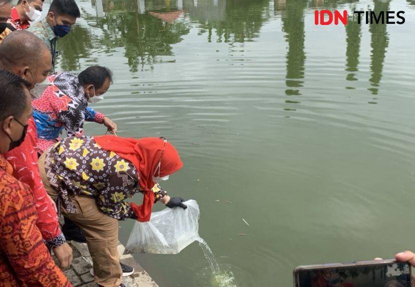 Wali Kota Bandar Lampung, Eva Dwiana saat menabur benih ikan ke Embung Korpri. (IDN Times/Rohmah Mustaurida).