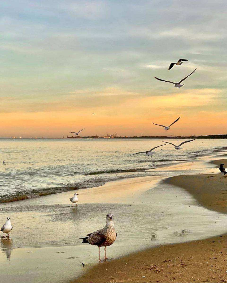 Sopot Beach (instagram.com/nie___znajoma)