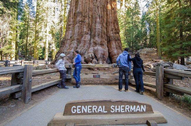 General Sherman (nps.gov)