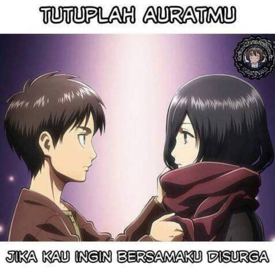 meme Attack On Titan (twitter.com/shironekobanser)