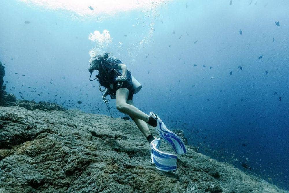 Sempat Idap Thalassophobia, 9 Potret Terkini Awkarin yang Jago Diving