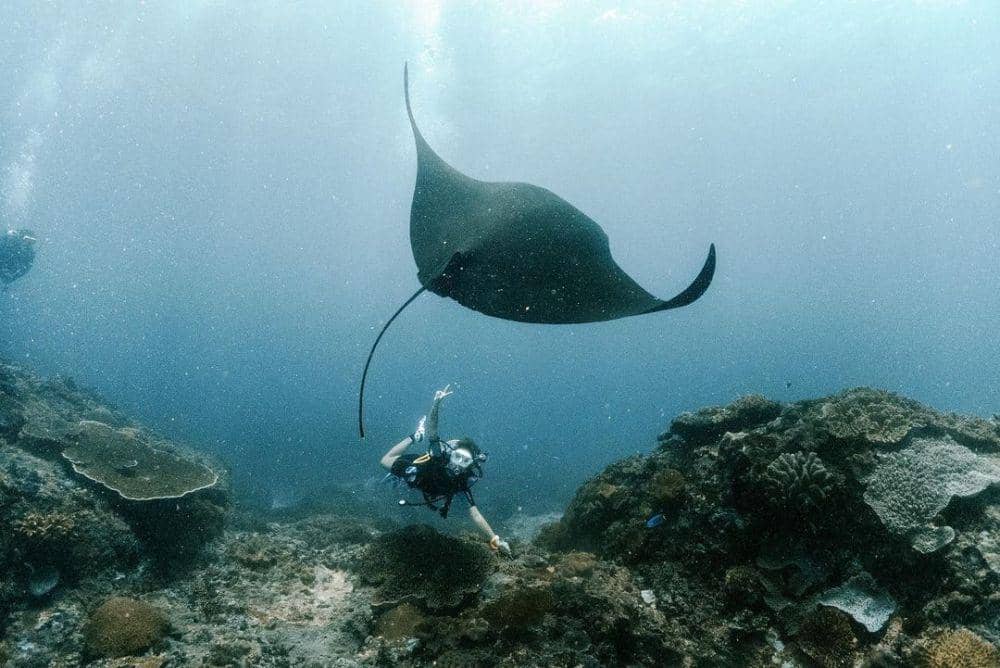 potret Awkarin diving (instagram.com/awkarin)