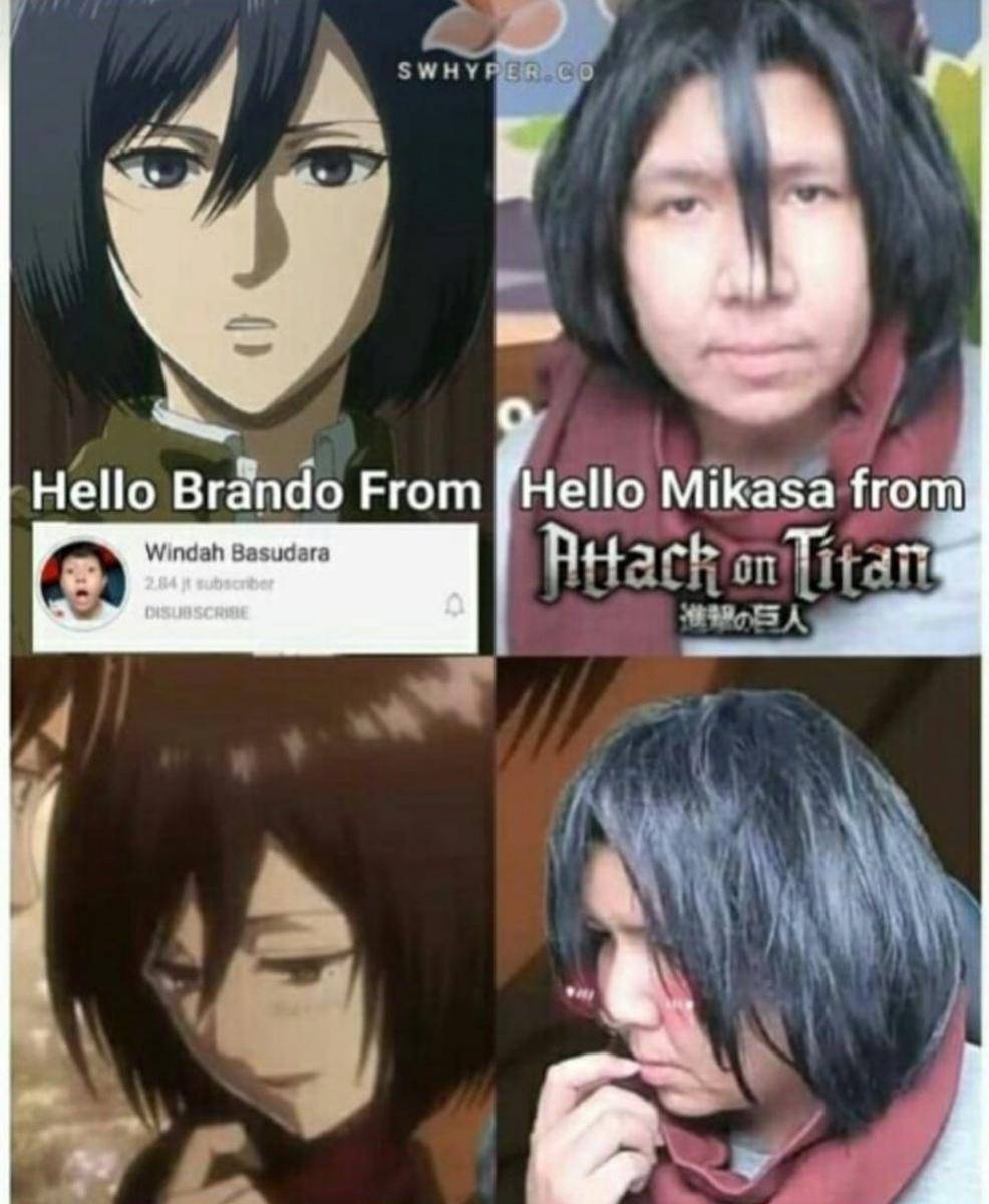 meme Attack On Titan (twitter.com/shironekobanser)