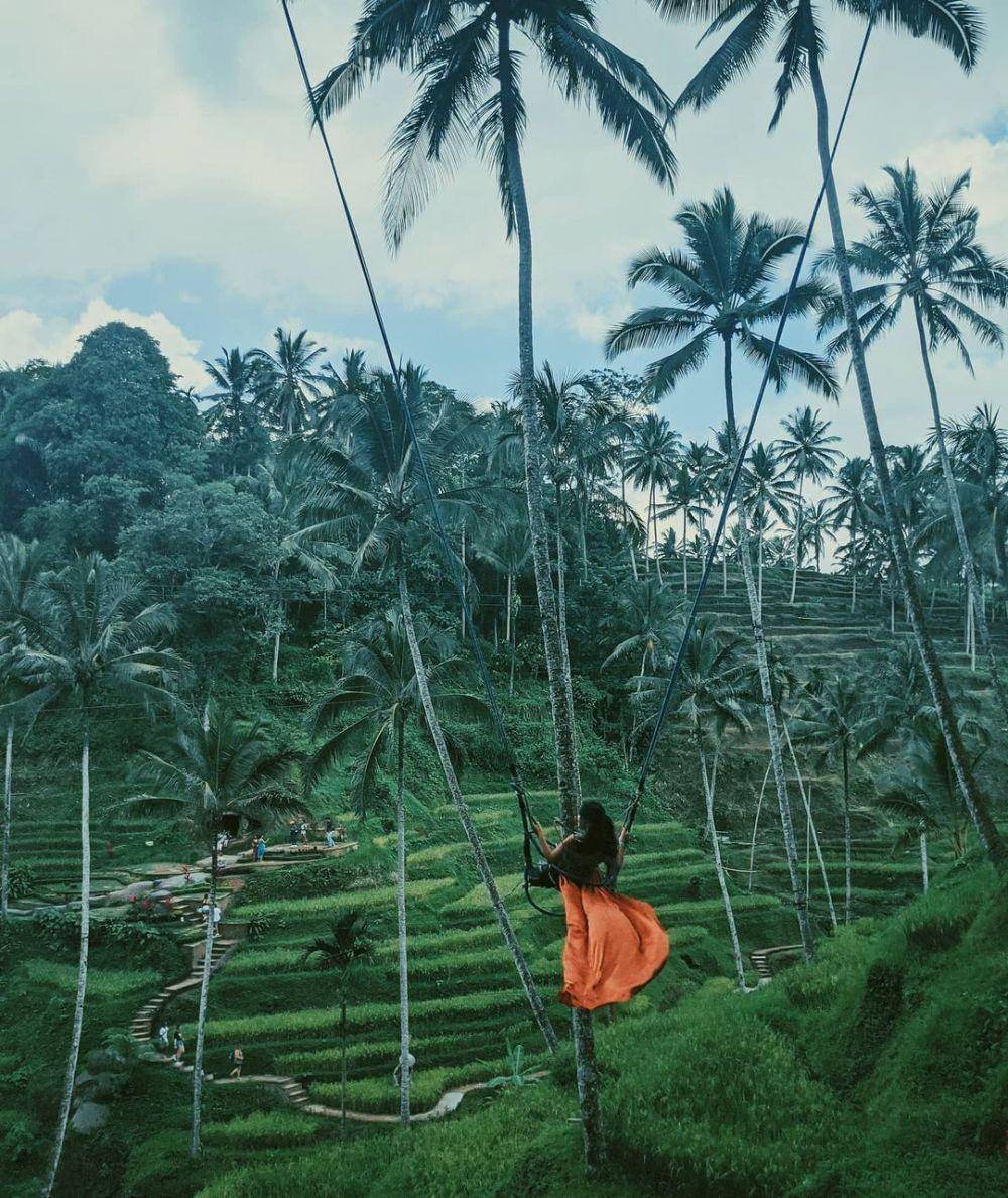 Terrace River Pool Swing, Bali (instagram.com/vttra3)