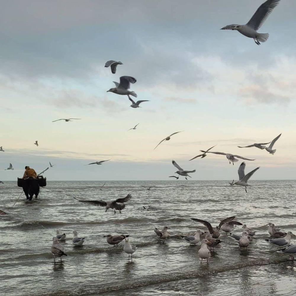 potret Oostduinkerke Beach (instagram.com/filipbens)