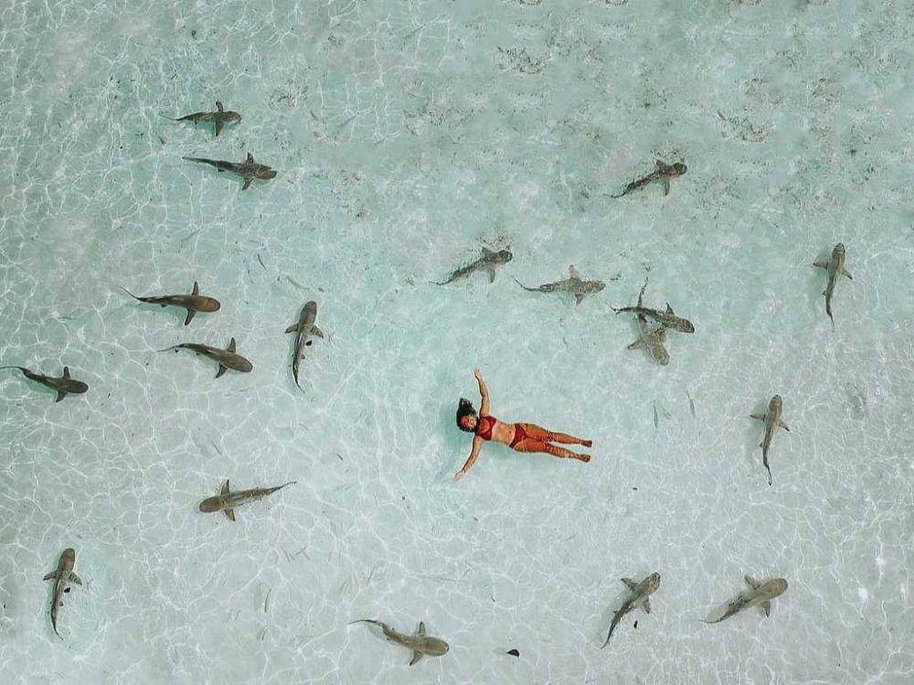 Pulau Wayag (instagram.com/vitasemangka)